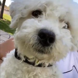 Meet your Posher, Jackie